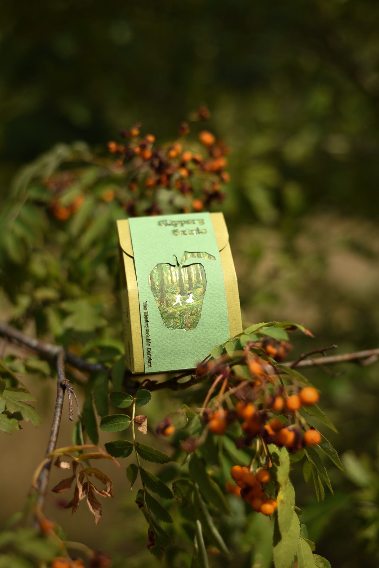 Slippery Saints pack nestled in rowan berries